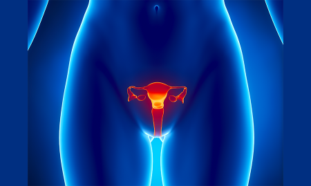 cosmeto-gynecology-900x538